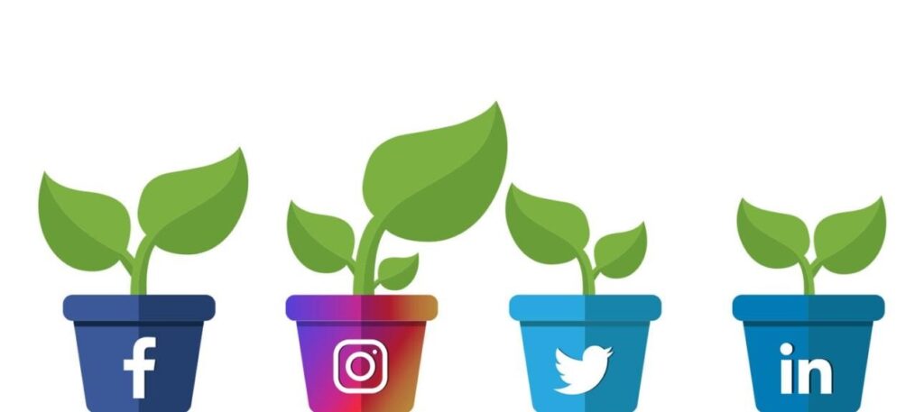 grow social media presence